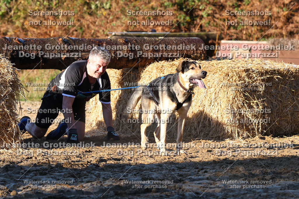 Dog Paparazzi - Strongdog 10-25-992 | Dog Paparazzi Jeanette Grottendiek Fotografie & Videografie - Realisiert mit Pictrs.com