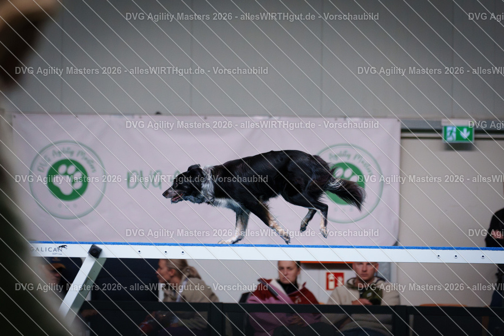 allesWIRTHgut_Tierfotografie-DVG_Agility_Masters_2026-15_44-7R506882 | Professionelle Tierfotografie in Mönchengladbach von Daniel Wirth (allesWIRTHgut). Liebevolle & natürliche Bilder von Hunden & Katzen für unvergessliche Erinnerungen.