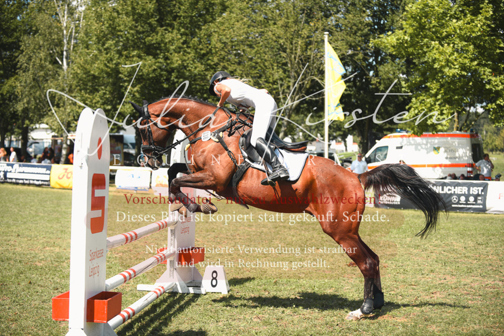 DSC_6667 | Pferde- und Turnierfotografie in Westsachsen. Pferdeportraits, Auftragszeichnungen und intuitive Kunst.