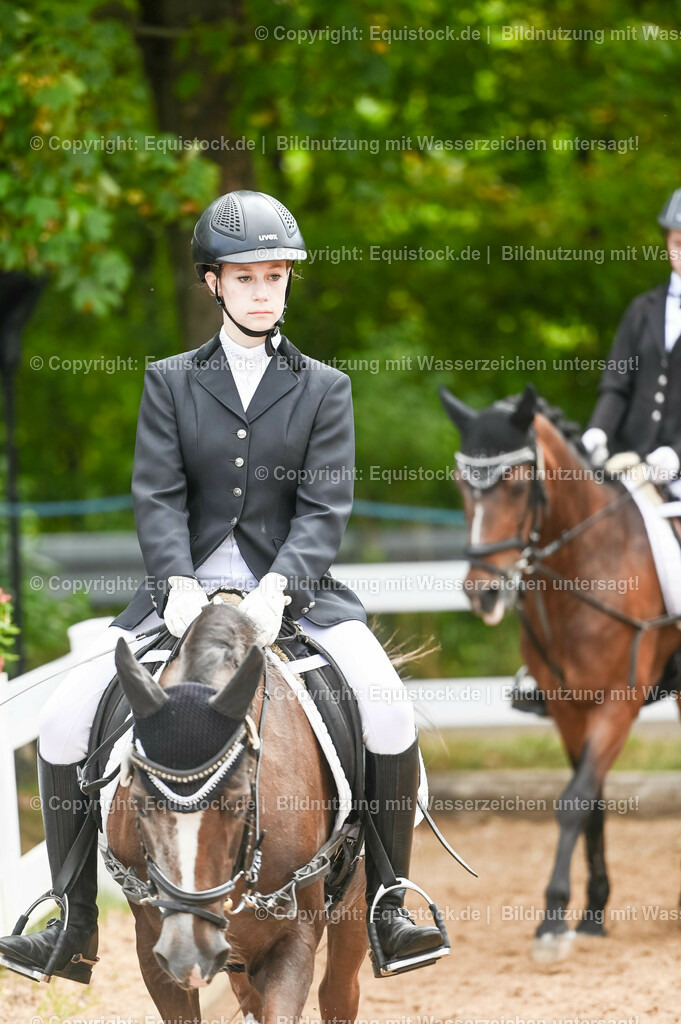 20230716_10-2_Reiter-WB Schritt - Trab - Galopp_0016 | equistock