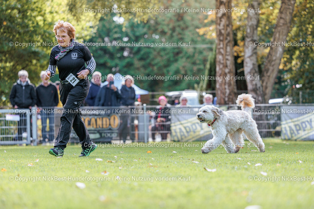 THS-HSV-Blumenthal-2026-Nickbest-Hundefotografie-2999 | Dein Hund! Dein Moment! Deine Erinnerungen! Hundefotografie in Bremen Blumenthal. Ich fange die besonderen Momente deines Vierbeiners ein – ob Indoor mit Blitzanlage oder in der freien Natur. Sicher dir dein Moment und dein Termin für eure Erinnerungen.