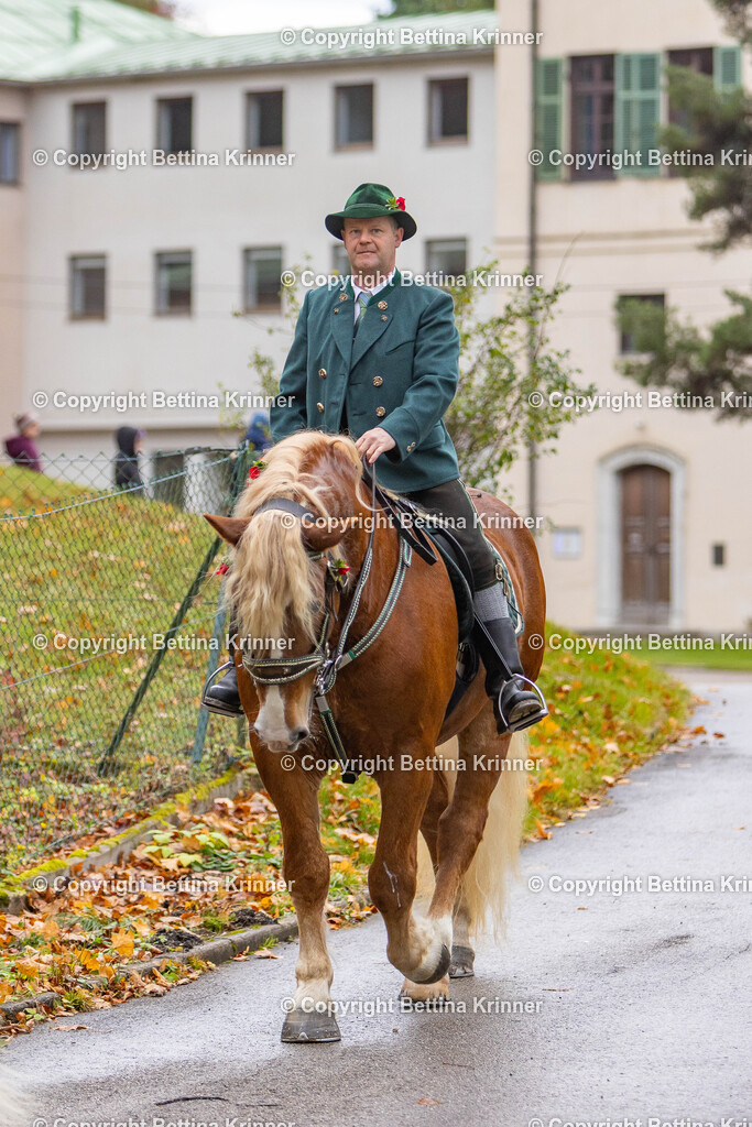 LL25-81 | foto-bettina-krinner - Realisiert mit Pictrs.com