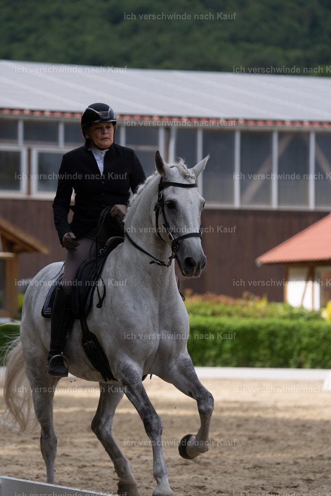WS_DR_43_sinafilmart_IN01343 | working equitationturnier fotograf videograf stoibphotography marixx film working equitation deutschland reitsport turnierfotografie eventfotografie equestrian events