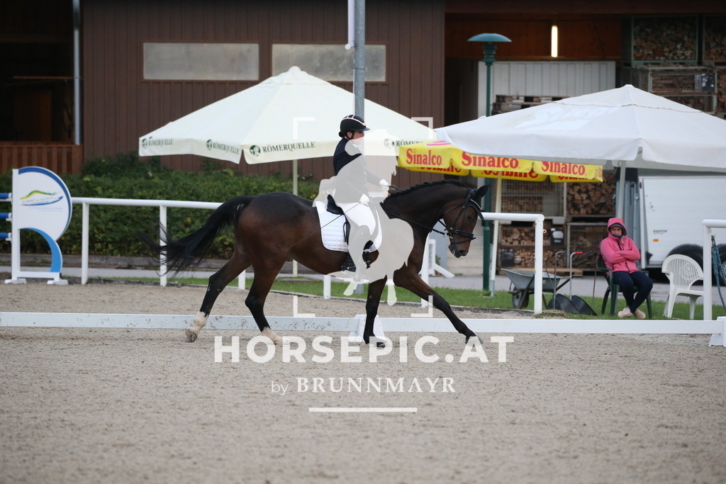 DL2Q1033 | Willkommen bei Brunnmayr - Design & Fotografie – Ihrem Spezialisten für Reitturniere und Pferdeveranstaltungen in Oberösterreich, Salzburg und Bayern! Seit über 17 Jahren sind wir leidenschaftlich dabei.