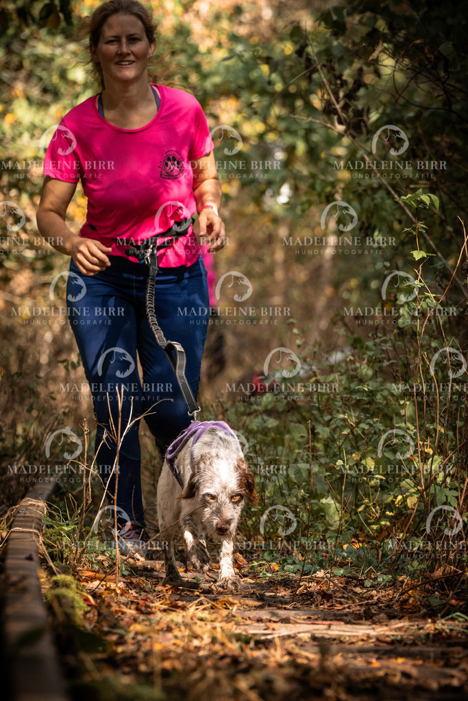 madeleinebirr.fotografie.2026.cc.hunsrueck.12-13Uhr.168 | hundefotografie-birr