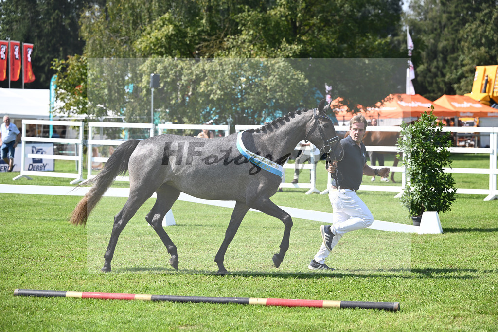 Kat-Nr. 28 nn v. Cayado_Sommer_34240639 | hf-fotografie - Realisiert mit Pictrs.com