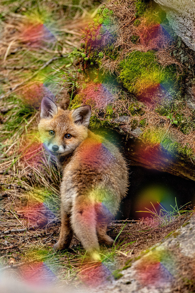 1M5A9755 | FineArtPrint, Hahnemühle, FeeGalerie, Fee Galerie, Fotokunst, Fotografie, Canonphotography, Bergfoto, Matterhorn, Rimpfischhorn, Allalinhorn, Saas-Fee, Wallis, Valais, Switzerland, Bergfotografie