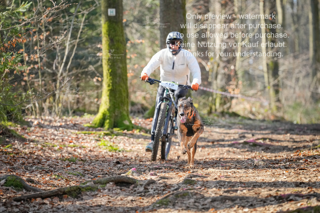 Bike_So-98 | stephaniefillaphotographie - Realisiert mit Pictrs.com