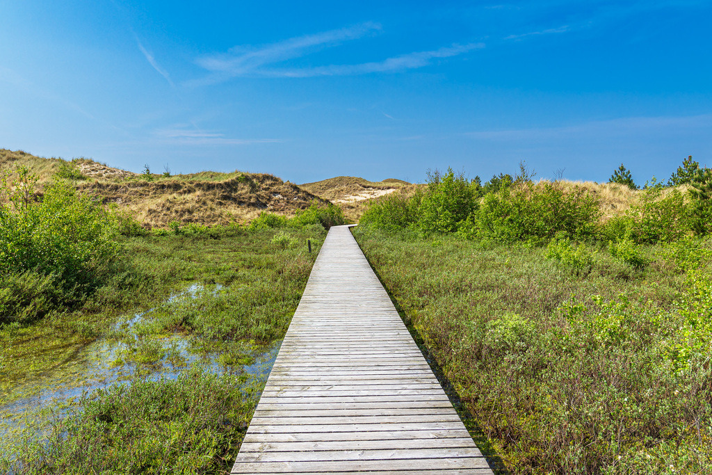 Landschaft in den Dünen bei Norddorf auf der Insel Amrum | Landschaft in den Dünen bei Norddorf auf der Insel Amrum.