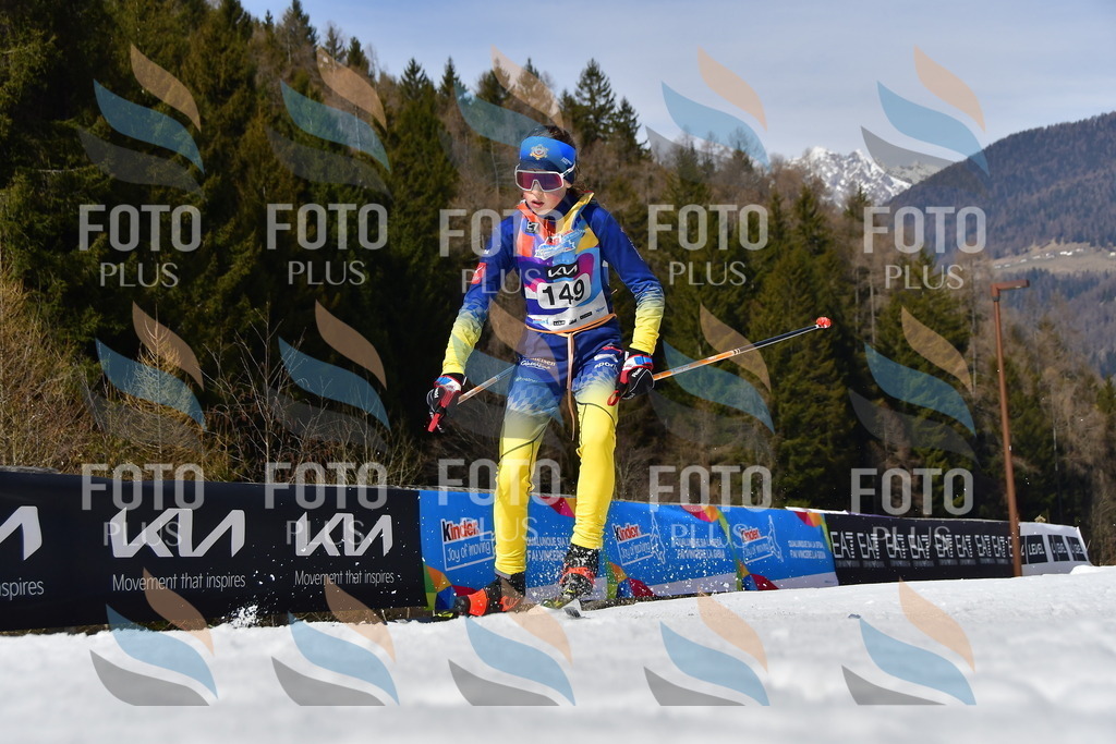 _DSC0244 | holidayphoto