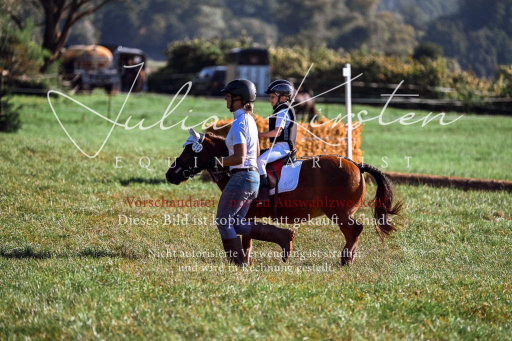 DSC_0476 | Pferde- und Turnierfotografie in Westsachsen. Pferdeportraits, Auftragszeichnungen und intuitive Kunst.
