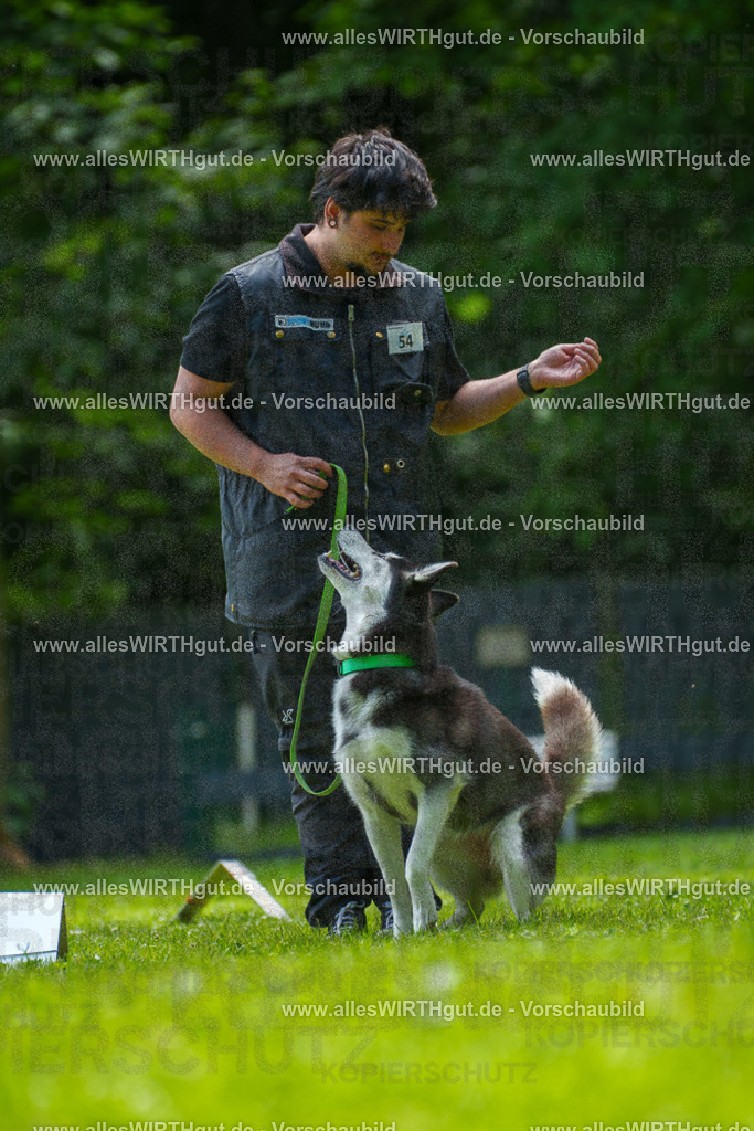 @allesWIRTHgut_Tierfotografie - www.allesWIRTHgut.de - 7R500913 | Professionelle Tierfotografie in Mönchengladbach von Daniel Wirth (allesWIRTHgut). Liebevolle & natürliche Bilder von Hunden & Katzen für unvergessliche Erinnerungen.