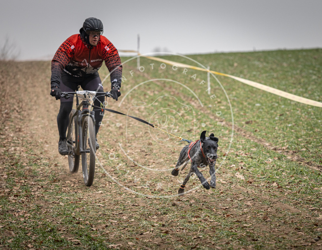 Pfotenfotografie_DV3A2368 | Hundefotografie, Tierfotograf, Pfotenfotografie, Fotoshooting Hund, Hunde Portrait, Hundesport, Hundeportraits, Heideshooting, Hunde, Sportfotograf, Hundefotograf, Turnierhundsport, THS,  - Realisiert mit Pictrs.com