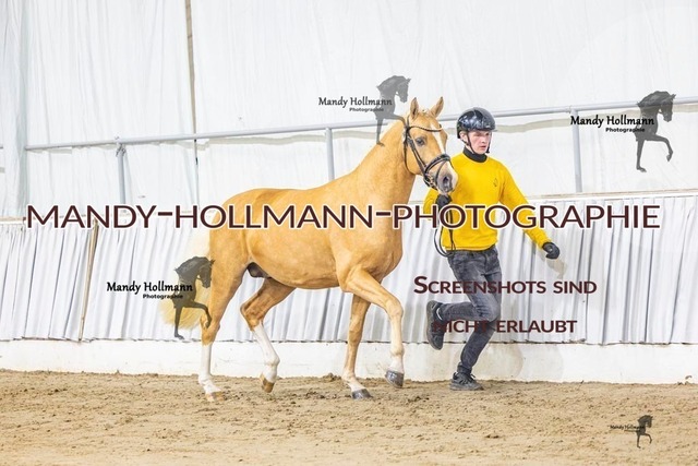 31 (3) | mandyhollmannphotographie