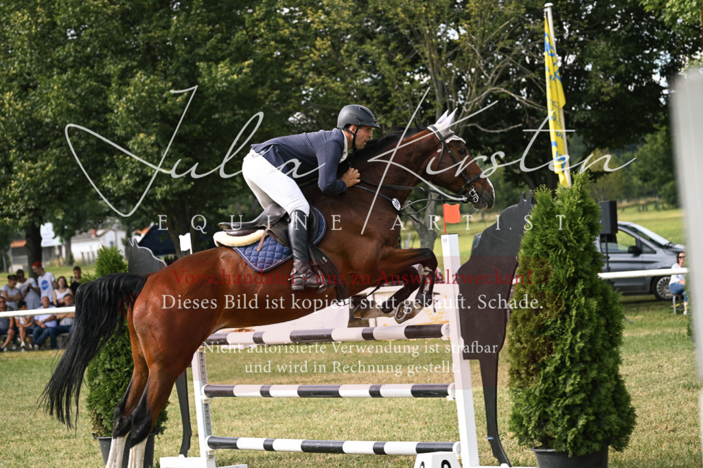 DSC_0775 | Pferde- und Turnierfotografie in Westsachsen. Pferdeportraits, Auftragszeichnungen und intuitive Kunst.