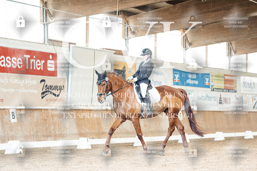 CK901041 | Turnierfotografie Pferdefotografie Trier Rheinland-Pfalz Pferdesport Reitsport Tierfotografie Sportfotografie Pferdevideo Pferdevideografie Equestrianvideography equestrianphotography  - Realisiert mit Pictrs.com