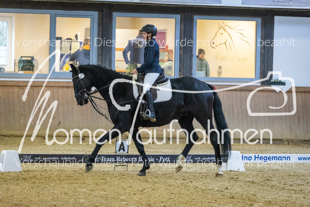 Sth-WBO25-DrR-093 | MomenTaufnahmen Pferdesportfotos