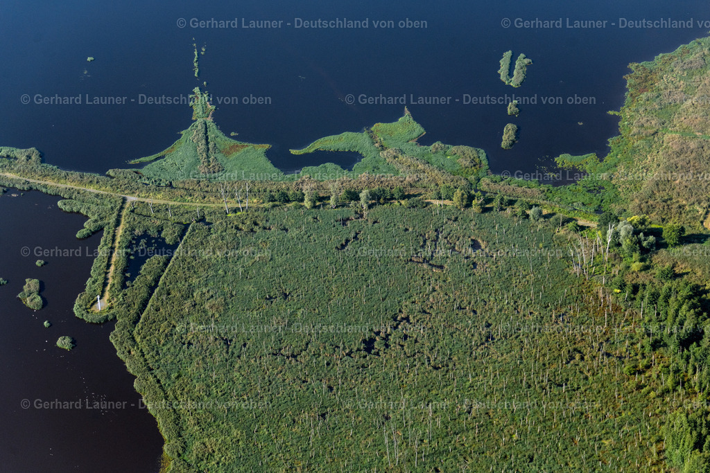 4061031 | BUGGENHAGEN 08.09.2021 Tümpel und Morast- Wasseroberfläche mit Bäumen und Vegetation in einer Teichlandschaft in Buggenhagen im Bundesland Mecklenburg-Vorpommern, Deutschland. // Ponds and Morast- water surface with trees and vegetation in a pond landscape in Buggenhagen in the state Mecklenburg - Western Pomerania, Germany. Foto: Gerhard Launer