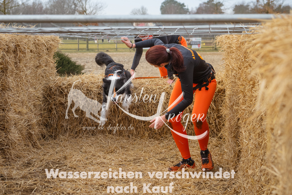 0851_ZZ95267 | kk-dogfotos