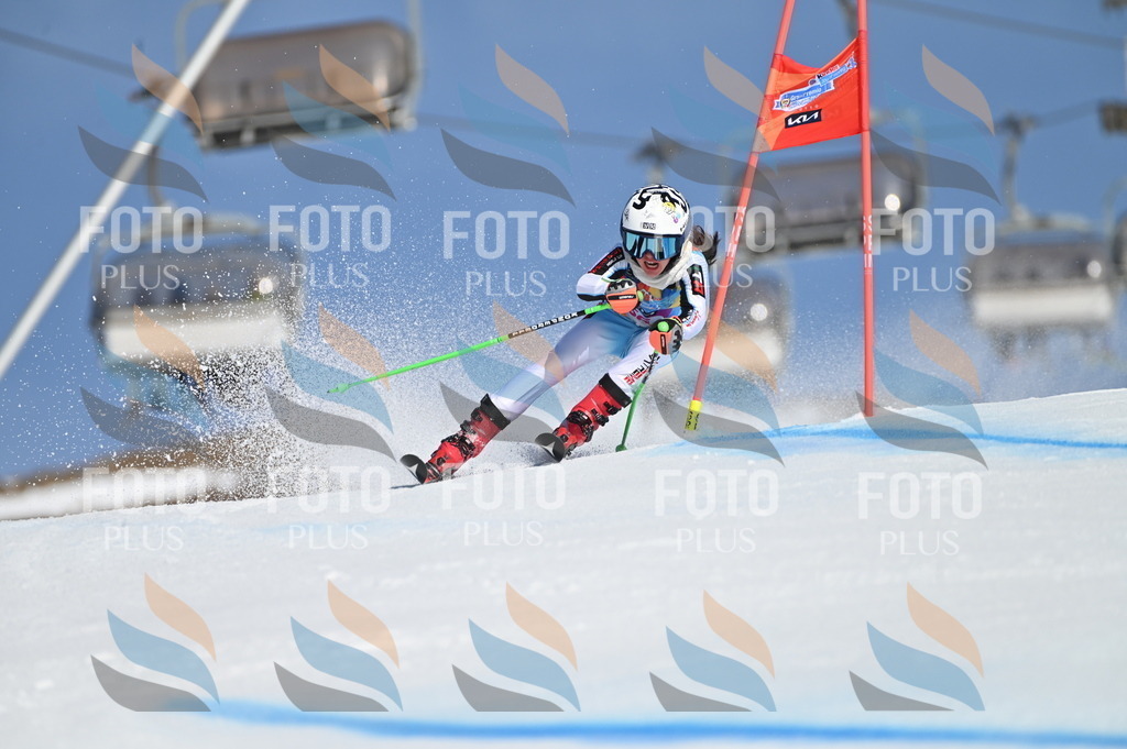 BGV_8636 | holidayphoto