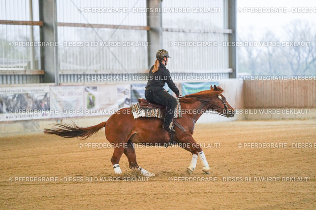 DSC09225 | Pferdegrafie