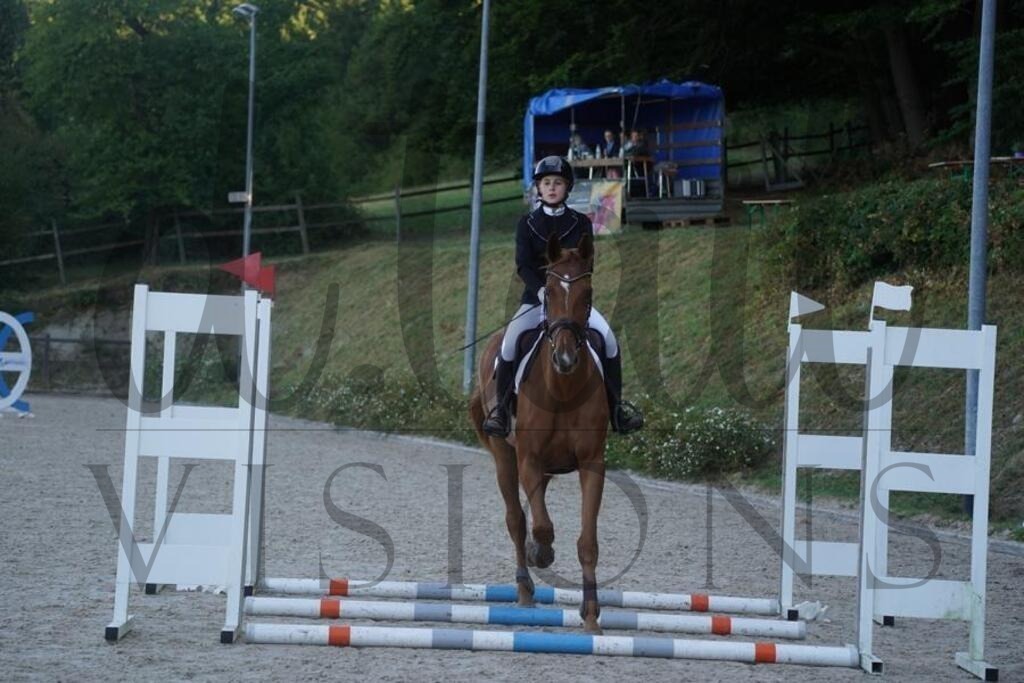 tgbhsonntag (97) | d.tail Visions - Shop - Realisiert mit Pictrs.com