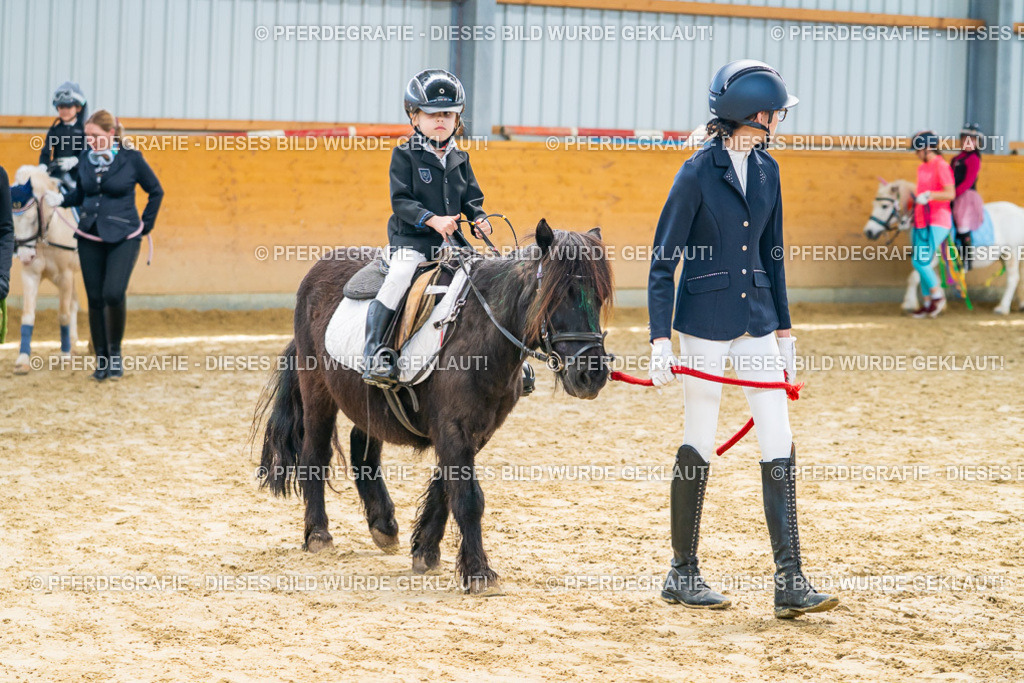 DSC00745 | Pferdegrafie