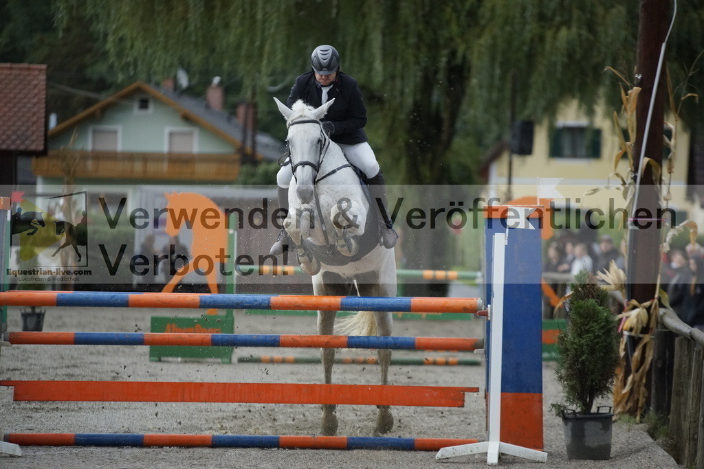 _DSC4780 | equestrian-live-com