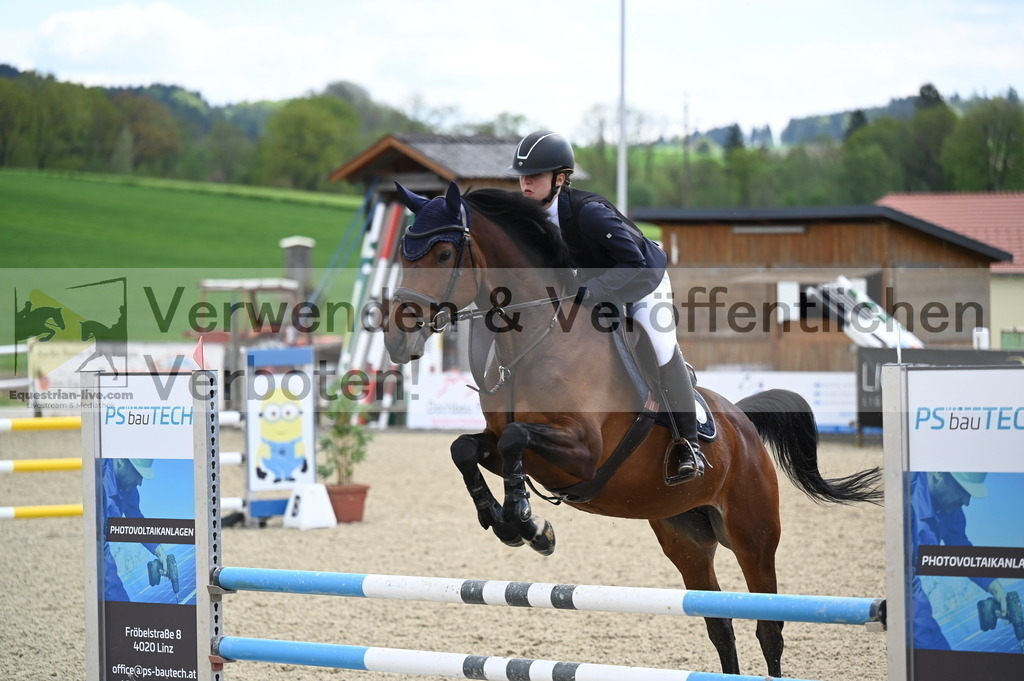 DSC_0742 | equestrian-live-com