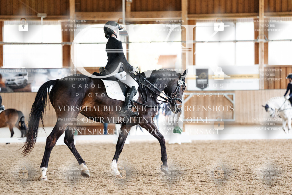 CK901334 | Turnierfotografie Pferdefotografie Trier Rheinland-Pfalz Pferdesport Reitsport Tierfotografie Sportfotografie Pferdevideo Pferdevideografie Equestrianvideography equestrianphotography  - Realisiert mit Pictrs.com
