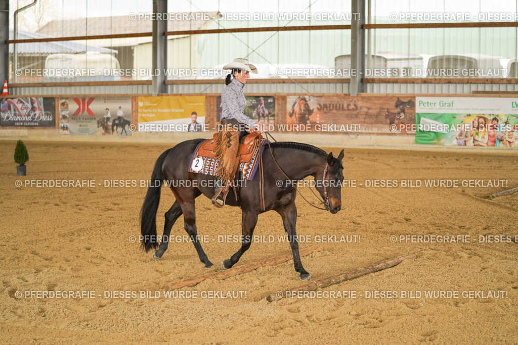 DSC04187 | Pferdegrafie