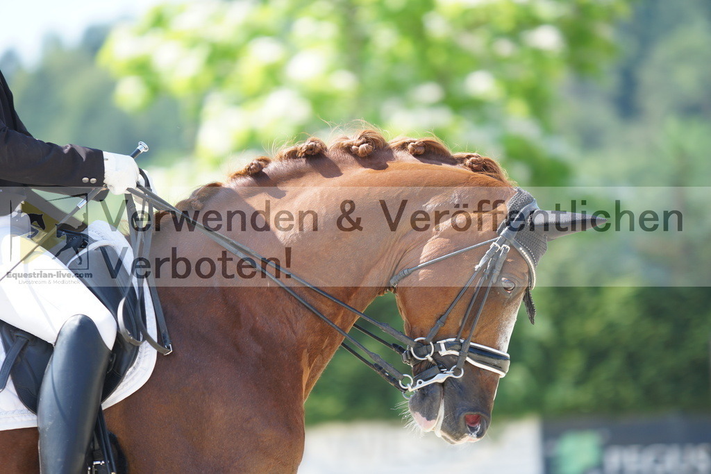 DSC02305 | equestrian-live-com