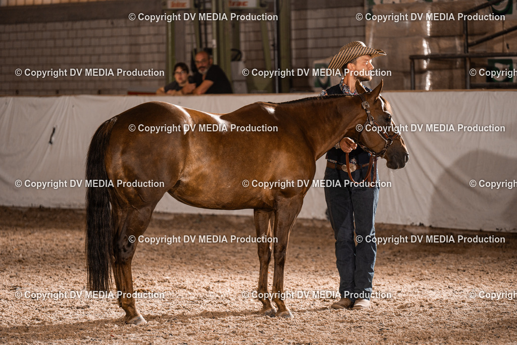 ZH200204 | dv-media-shop - Realisiert mit Pictrs.com