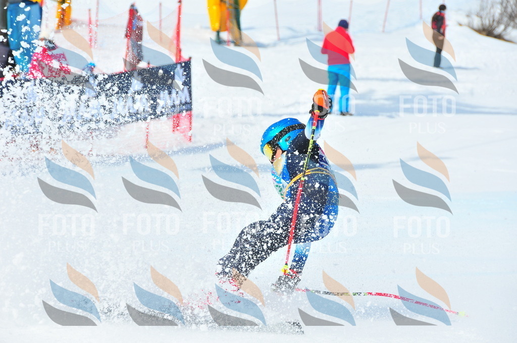 DSC_3192 | holidayphoto