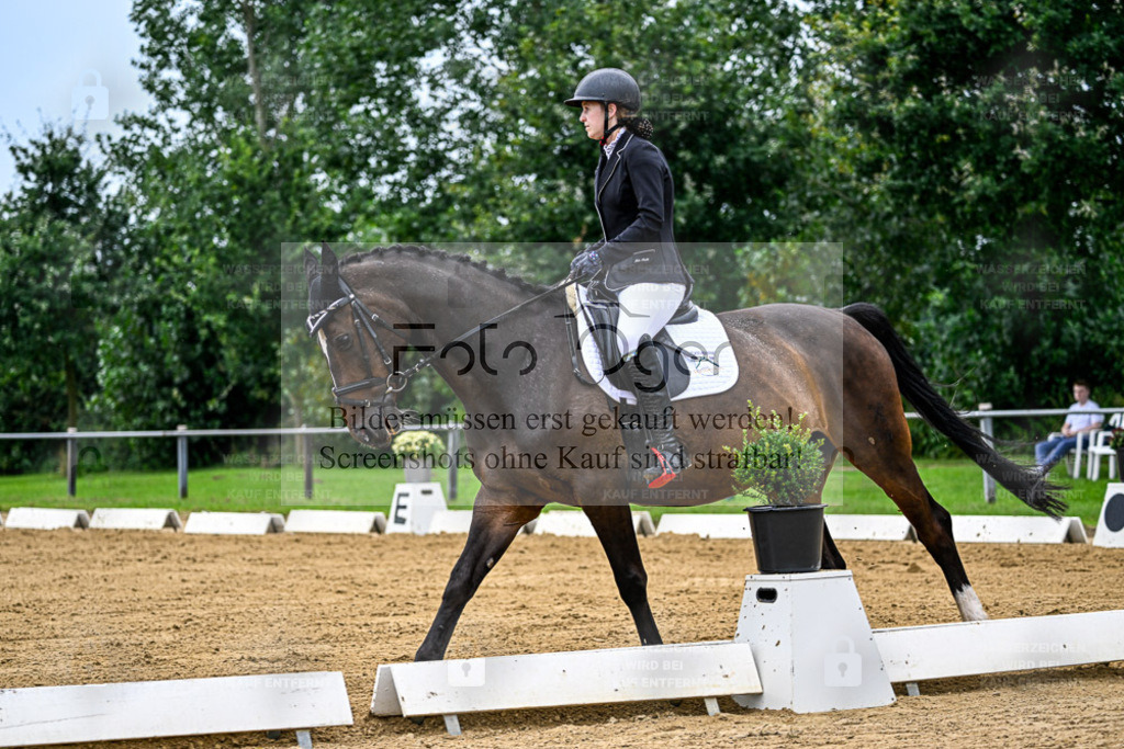 Reitturnier Hasbergen | Entdecke hochwertige Reitturnierfotos von Foto Oger. Professionell, emotional und authentisch – jetzt Lieblingsmomente im Shop bestellen. - Realisiert mit Pictrs.com