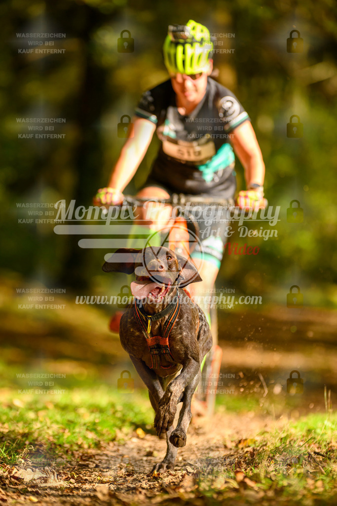 MompixPhotography_20TSB_E1_DS1-26 | PayLife