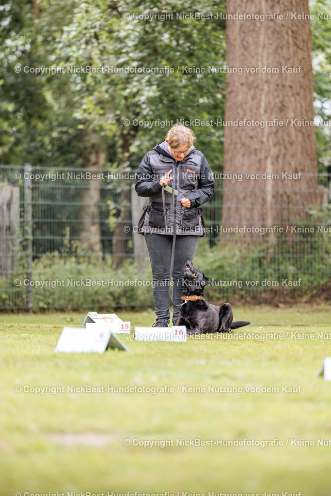RO-Blumenthal-2026-Nickbest-Hundefotografie-5110 | Dein Hund! Dein Moment! Deine Erinnerungen! Hundefotografie in Bremen Blumenthal. Ich fange die besonderen Momente deines Vierbeiners ein – ob Indoor mit Blitzanlage oder in der freien Natur. Sicher dir dein Moment und dein Termin für eure Erinnerungen.
