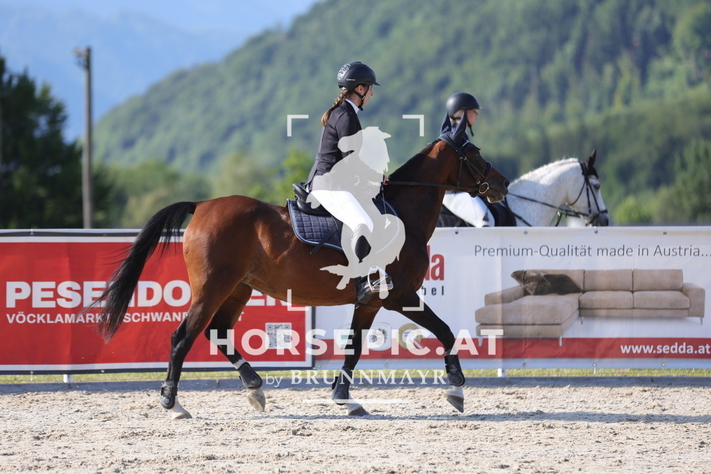 0P6A3516 | Willkommen bei Brunnmayr - Design & Fotografie – Ihrem Spezialisten für Reitturniere und Pferdeveranstaltungen in Oberösterreich, Salzburg und Bayern! Seit über 17 Jahren sind wir leidenschaftlich dabei.