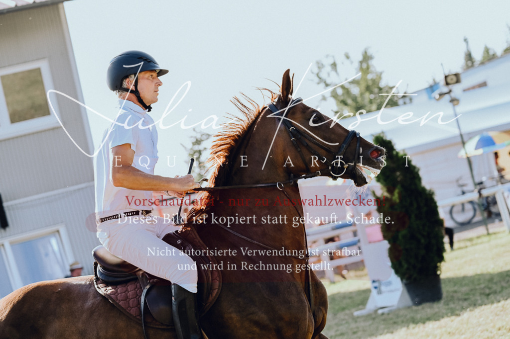 DSC_2754 | Pferde- und Turnierfotografie in Westsachsen. Pferdeportraits, Auftragszeichnungen und intuitive Kunst.