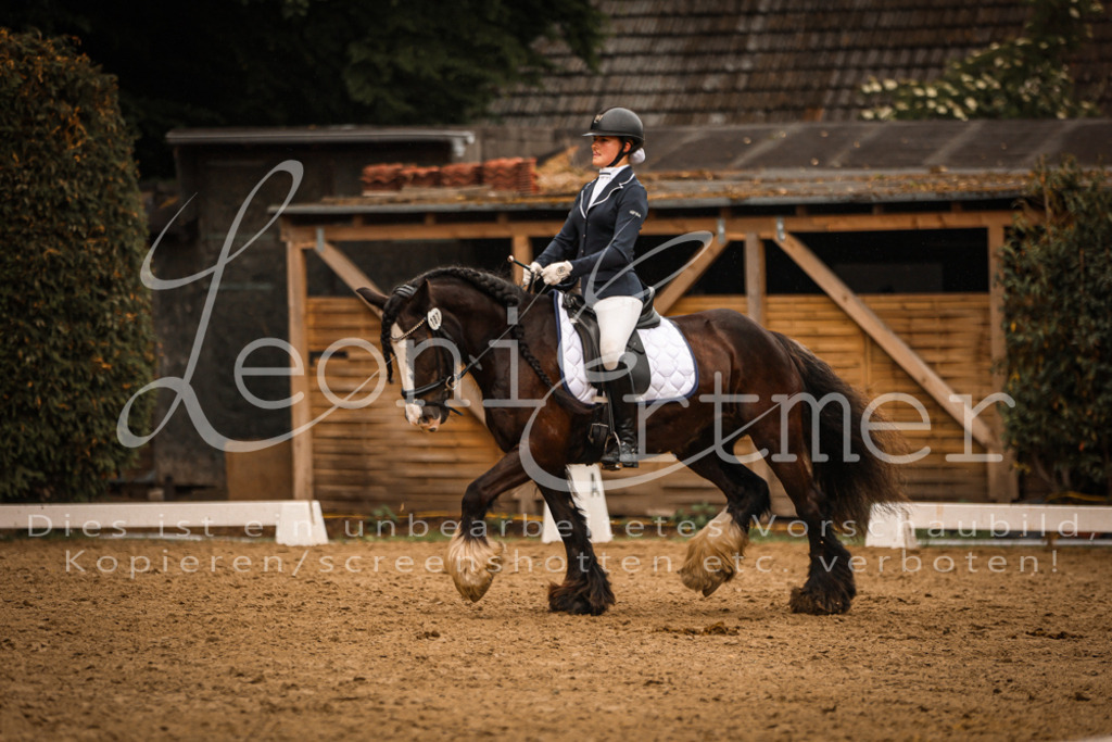 DoDrA00497 | Leoni Ertmer Photography - Realisiert mit Pictrs.com