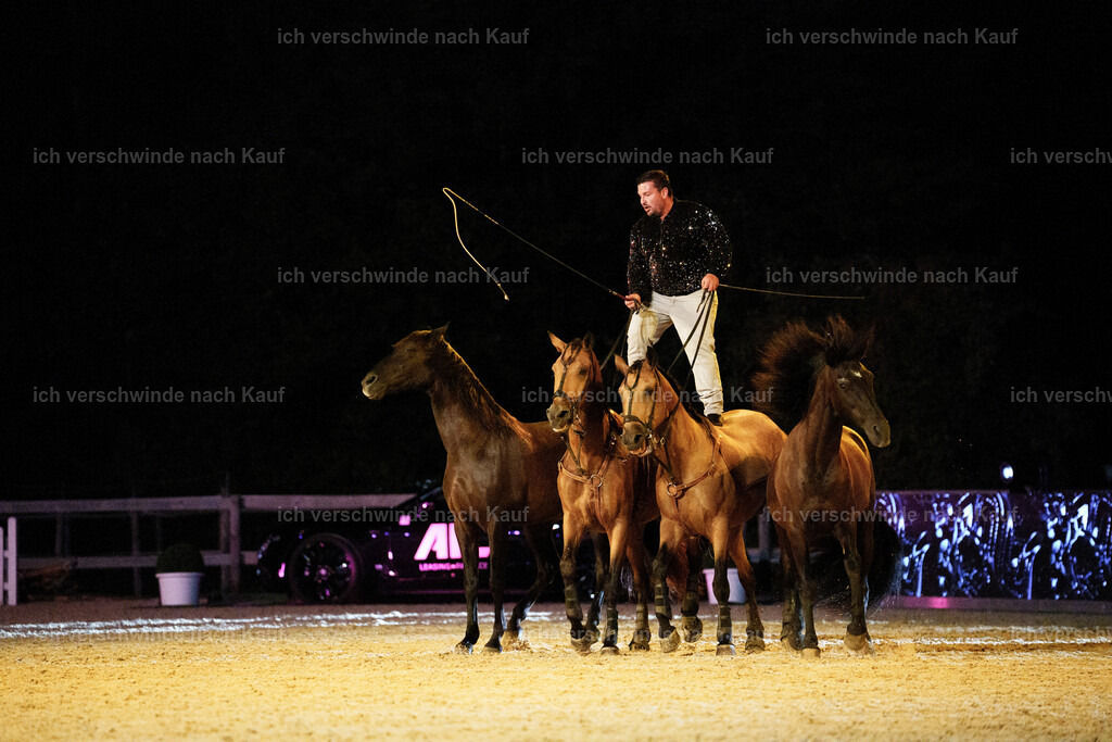 Gala-372 | working equitationturnier fotograf videograf stoibphotography marixx film working equitation deutschland reitsport turnierfotografie eventfotografie equestrian events