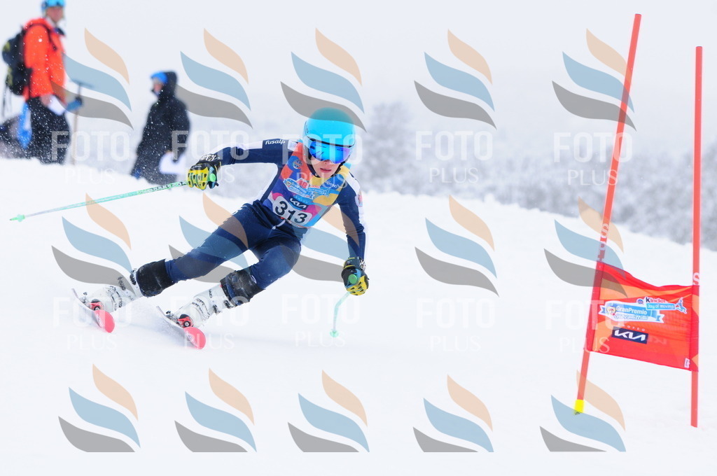 C3319 | holidayphoto