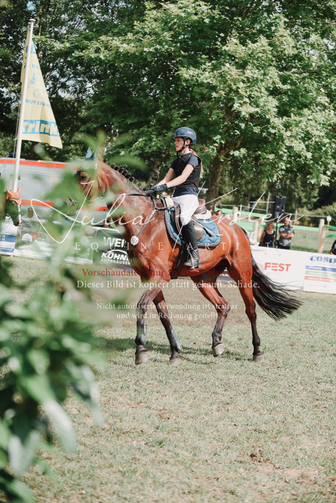 DSC_5685 | Pferde- und Turnierfotografie in Westsachsen. Pferdeportraits, Auftragszeichnungen und intuitive Kunst.