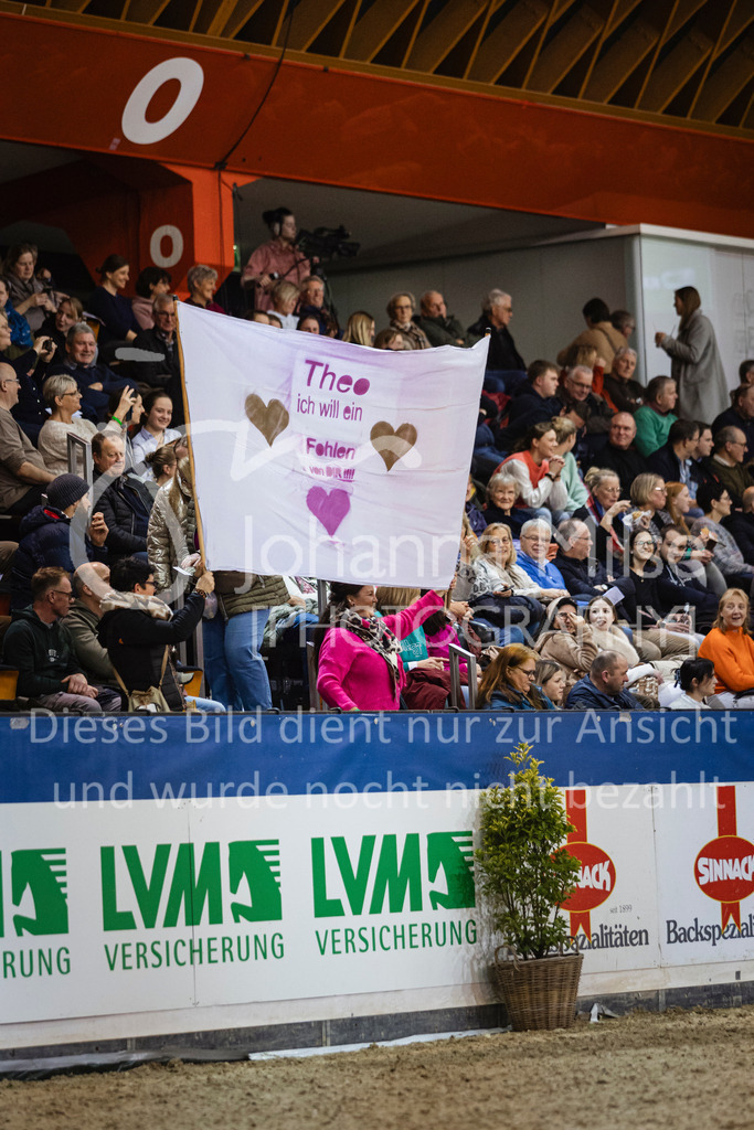 250108_Muenster_Hengstpräsentation-100 | Deine schönsten Turniermomente als professionelle Fotos! Entdecke hochwertige Pferdesport-Fotografie im Online-Shop. Jetzt Fotos finden & bestellen!
