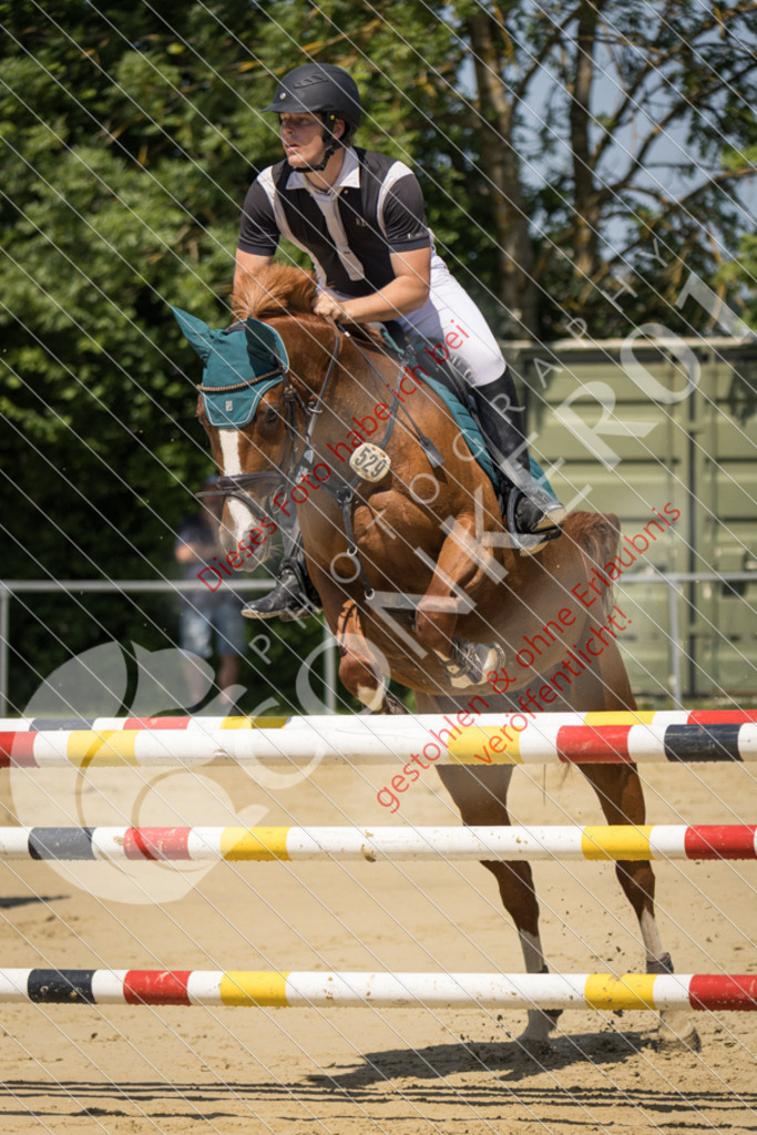 IMG_9240 | Sport-, Event- und Tierfotos in Profiqualität. Einfach auswählen, bestellen und herunterladen. Dein Moment – perfekt festgehalten.