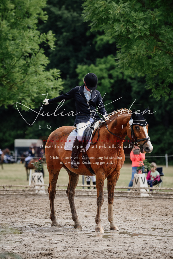 DSC_0724 | Pferde- und Turnierfotografie in Westsachsen. Pferdeportraits, Auftragszeichnungen und intuitive Kunst.
