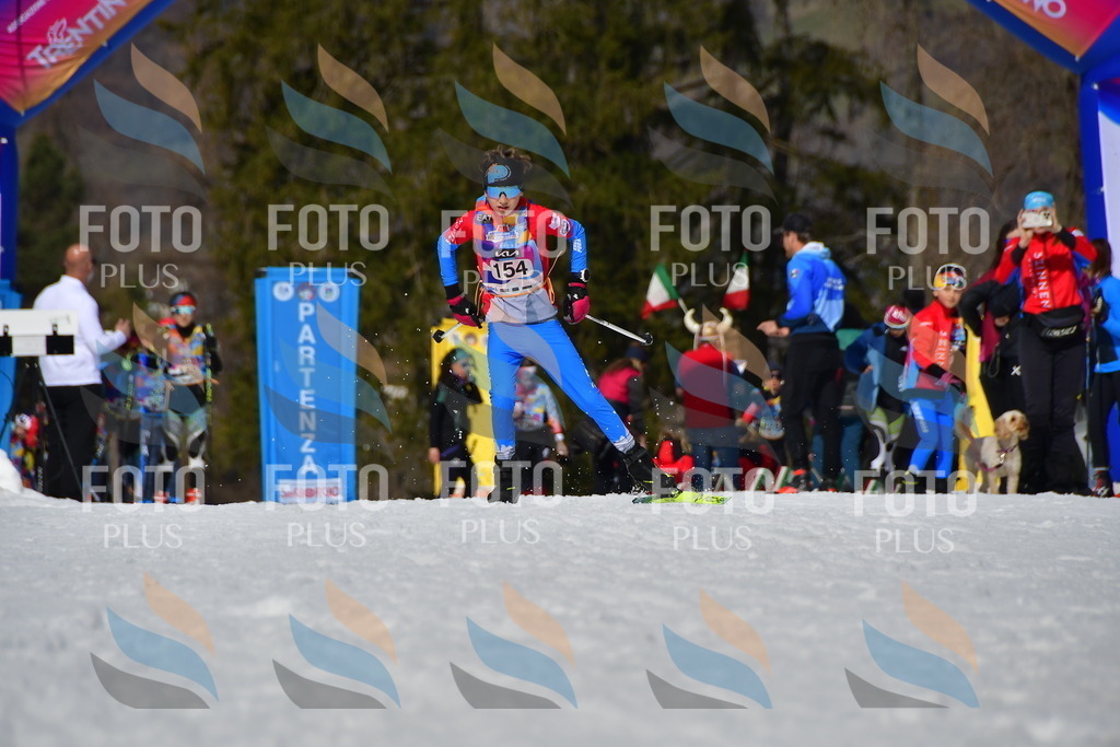 _DSC0340 | holidayphoto