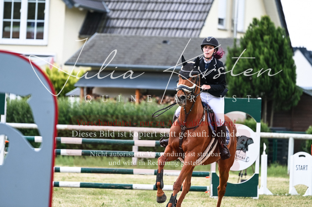 DSC_9085 | Pferde- und Turnierfotografie in Westsachsen. Pferdeportraits, Auftragszeichnungen und intuitive Kunst.