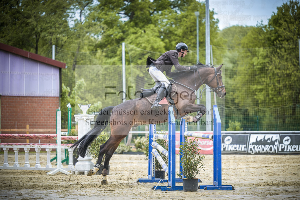 DOS_6349 | Entdecke hochwertige Reitturnierfotos von Foto Oger. Professionell, emotional und authentisch – jetzt Lieblingsmomente im Shop bestellen.Deutschlandweite Turnierfotografie. - Realisiert mit Pictrs.com