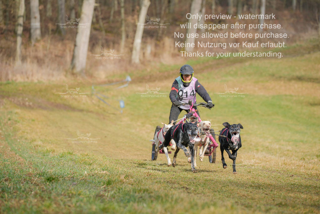 Sa_Gespanne-32 | stephaniefillaphotographie - Realisiert mit Pictrs.com